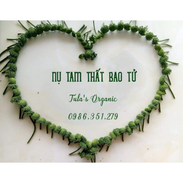 TRÀ NỤ TAM THẤT (100g - 250g)