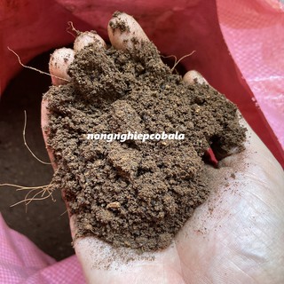 2 Kg Đất Mùn Phù Sa Trồng Rau, Hoa Kiểng