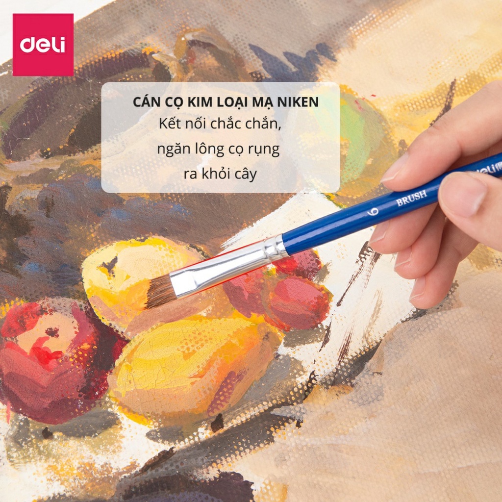Bộ 6 cây cọ vẽ chuyên nghiệp Deli - Được làm từ sợi lông động vật mềm mại 73922