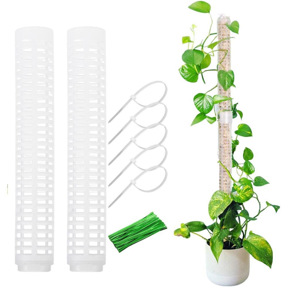 Set 2 Thanh Nhựa Hỗ Trợ Trồng Cây Cho Đám Cưới