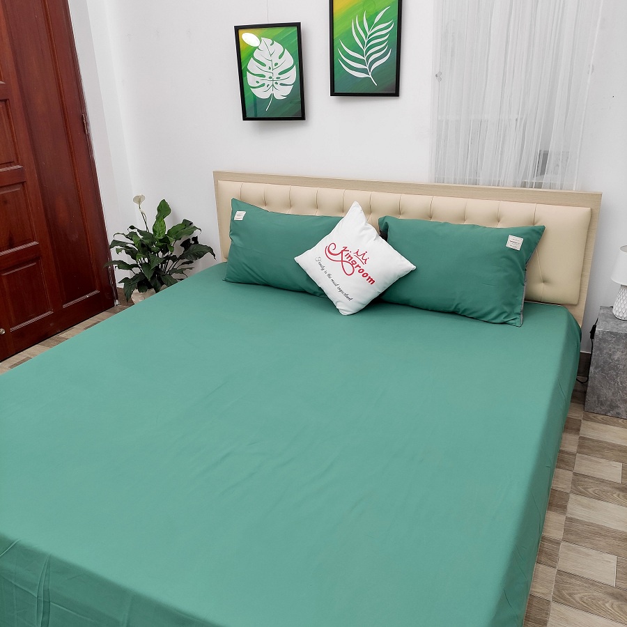 Bộ ga gối 3 món vải cotton đủ màu 920 Shop Kingroom chuyên ga nệm đủ kích thước | BigBuy360 - bigbuy360.vn
