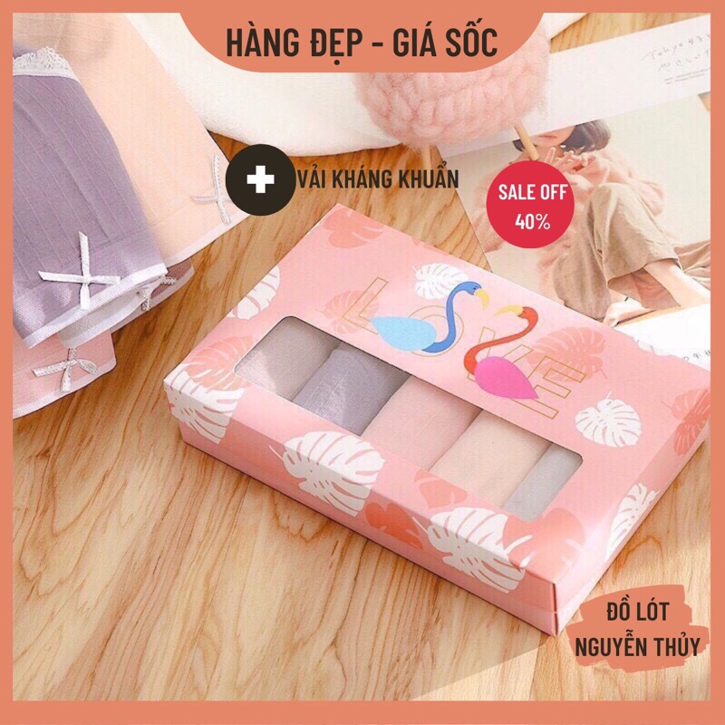 Hộp 5 Quần Lót Nữ Cotton Thiên Nga Xuất Nhật Kháng Khuẩn Cao Cấp