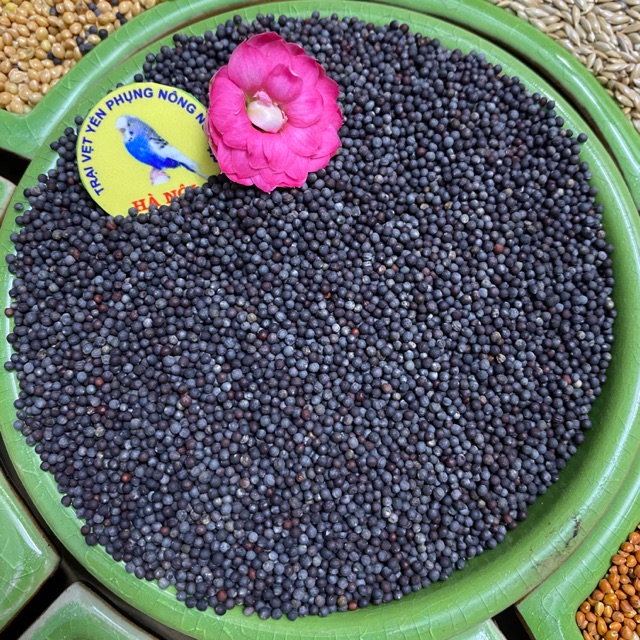 Hạt cải dầu cho dòng chim yến hót, yến phụng, manh manh, bảy màu, sắc nhật, finch ...gói 1kg