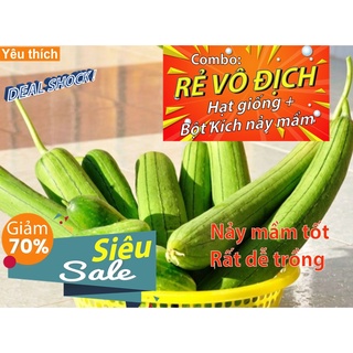 [Combo rẻ vô địch HẠT GIỐNG + GÓI HỖ TRỢ NẢY MẦM] - 5 HẠT GIỐNG MƯỚP HƯƠNG
