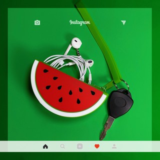 TÚI DƯA HẤU SILICONE MINI 1239
