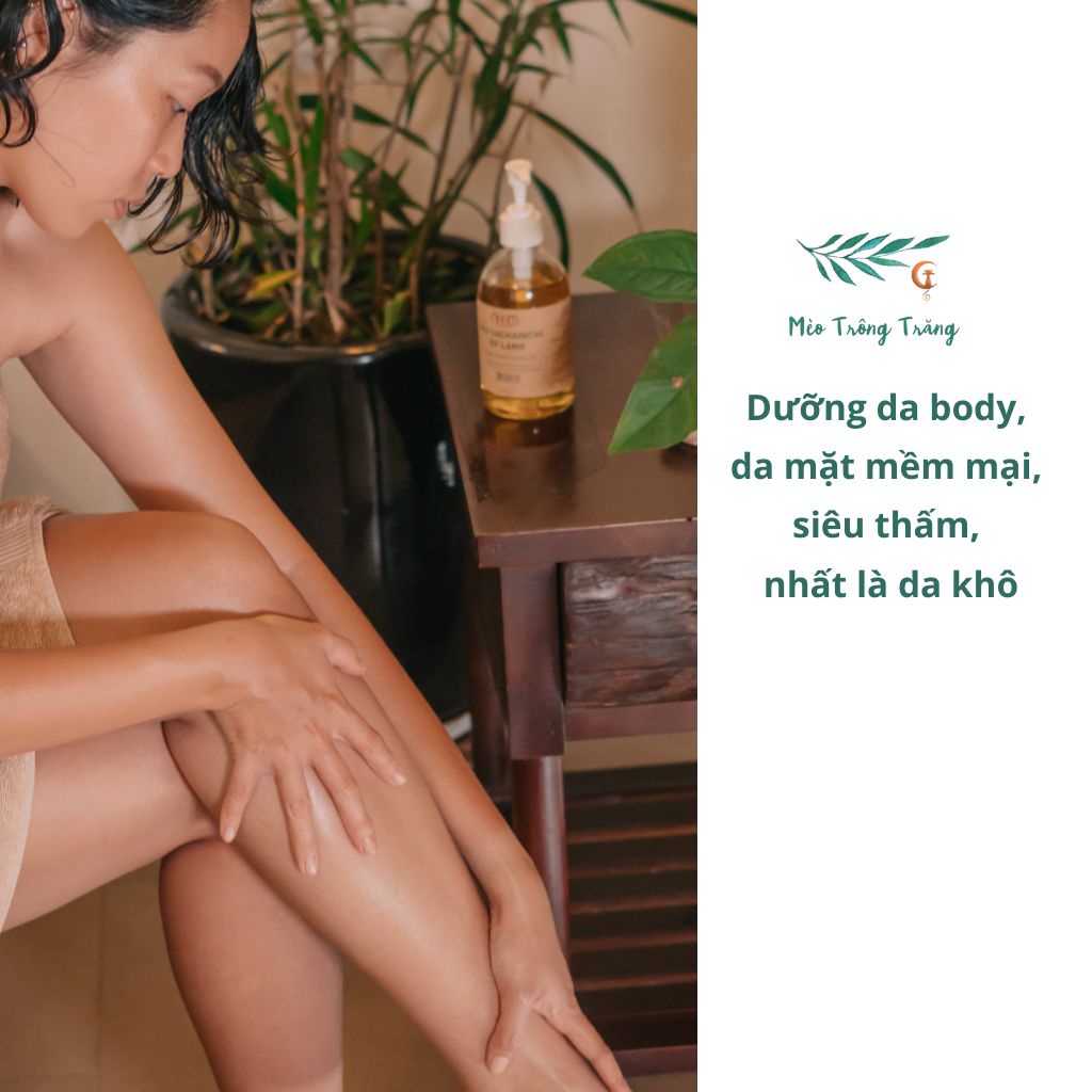 Dầu sachi/ sacha inchi ép lạnh Noom giúp dưỡng da, bổ sung dinh dưỡng