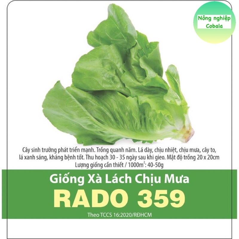 Hạt Giống Xà Lách Chịu Mưa (RADO359) 10gr