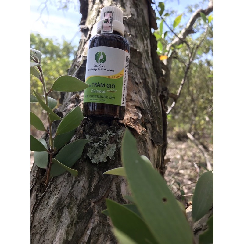 Tinh Dầu Tràm Gió Nguyên Chất Cao Cấp An Toàn Cho Bé Giảm Ho, Nghẹt Mũi, Phòng Cảm NuCare