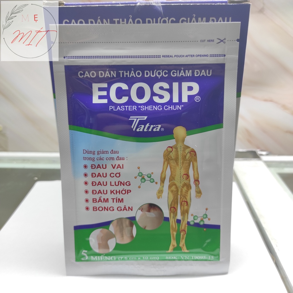 Cao Dán Thảo Dược ECOSIP gói 2 miếng