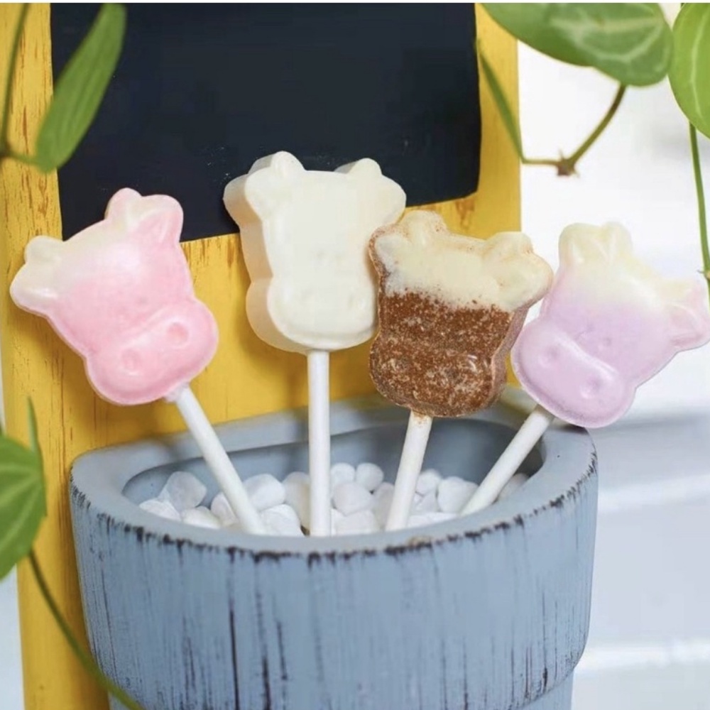 Kẹo Mút Hộp Gấu Vị Sữa Hình Thú Ngộ Nghĩnh Dành Cho Bé Yêu Tập Ăn Dặm
