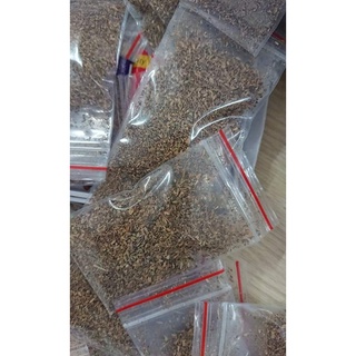 Hạt giống rau đắng đất - (Gói 0.1gram)