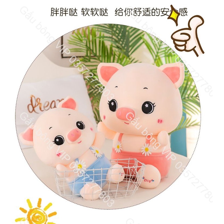 Gấu bông heo mặt yếm hoa mai, heo bụng bự, gấu nhồi bông Dễ Thương, heo bông cute cho bé