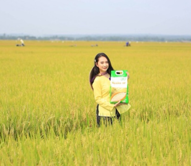 Gạo hữu cơ Quảng Trị,chữa tiểu đường,béo phì,gút..