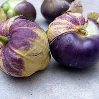 Hạt giống thù lù Tomatillo tím 20h