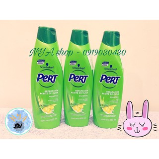 Dầu gội Pert
