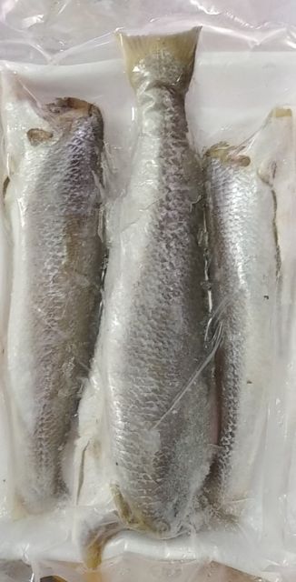 Khô cá lù đù 1 nắng Cà Mau