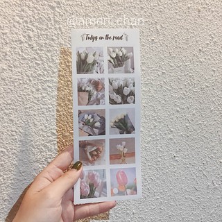 Set 4 Tờ Sticker basic tối giản MGZC