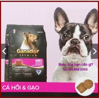Thức ăn hạt cho chó trưởng thành Ganador 400g