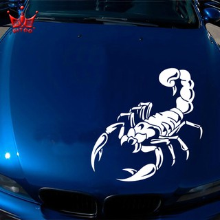 Decal bọ cạp có kích thước 20 cm X 30 cm