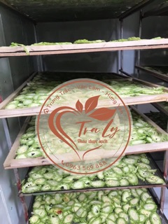 MƯỚP ĐẮNG KHÔ (KHỔ QUA)