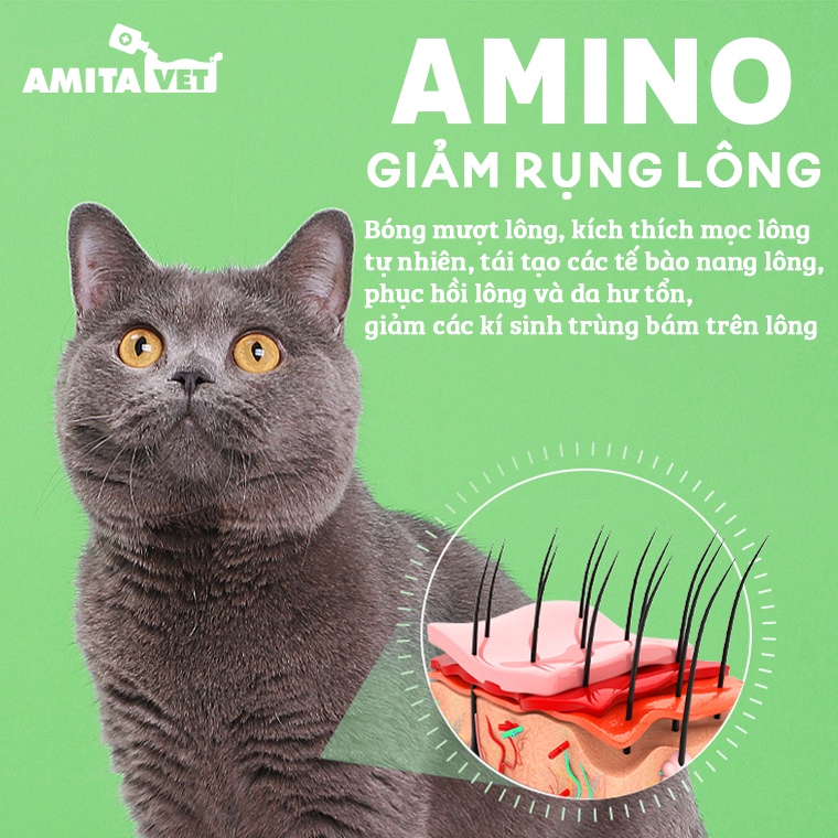 Dưỡng lông cho chó mèo AMINO-PET Plus 35g từ AMITAVET giúp thú cưng bóng mượt lông kích thích mọc lông từ bên trong