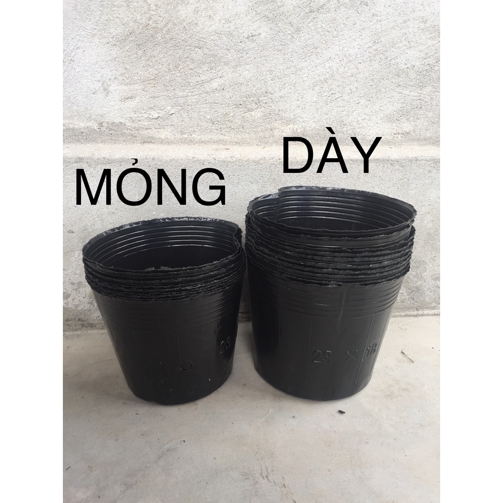 BẦU ƯƠM CÂY 23*18 DÀY VÀ MỎNG ( DỊCH TRUYỀN CHO CÂY, KÍCH RỄ , MẦM CÂY XANH LÁ, LƯỚI CHE NẮNG...)