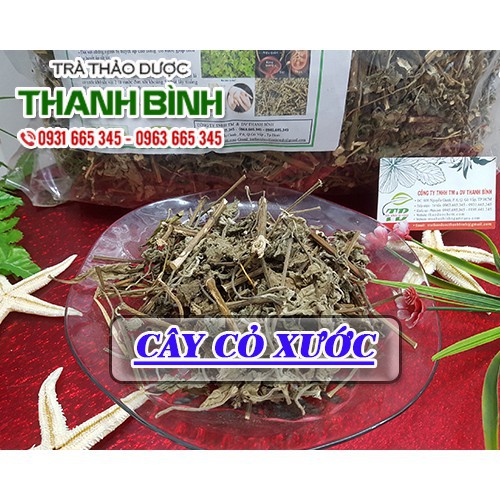 Cây cỏ xước 100g - Thu Hái Tự Nhiên - Thảo Dược Uy Tín