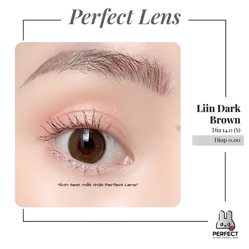 Lens , Kính Áp Tròng Không Độ Cận , Liin Dark Brown Dia 14.0 S , Sản Phẩm Chính Hãng Giá Sale