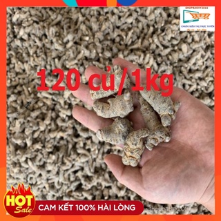 500gram Củ tam thất bắc khô Loại 120củ/kg
