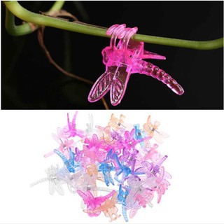 KẸP LAN HÌNH CON CHUỒN CHUỒN