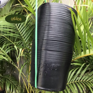 Combo 100 chậu nhựa đen C10 (25x20 cm) trồng cây
