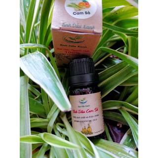 Tinh Dầu Cam Sả Nguyên Chất 10 ml