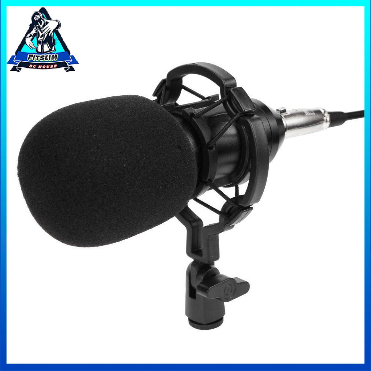 BM800 Dynamic Condenser Microphone Sound Studio KTV Hát Ghi âm Mic