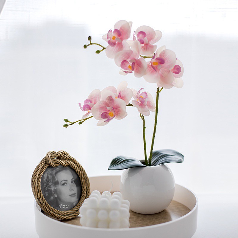Hoa giả ️❤️ Hoa Lan Hồ Điệp PU cao cấp ️❤️ Hoa Decor trang trí nhà ở - Decor Mây Trang