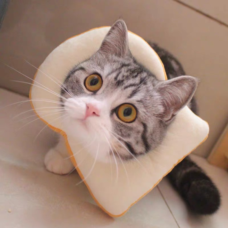 gối chụp cổ hình sandwich bảo vệ khi thoa thuốc/ điều trị hoặc trang trí dành cho chó mèo