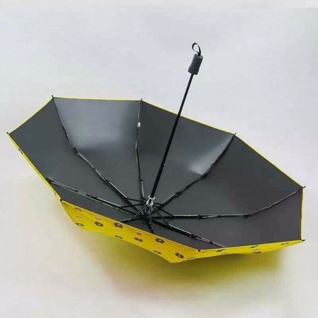 Ô in hình gấu mẫu mới 2019