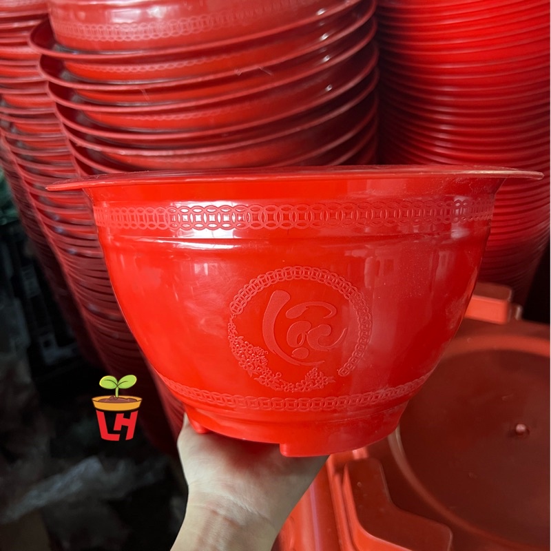 Chậu nhựa trồng cây (Chậu truyền thống), T28, T33 nhựa bóng đẹp