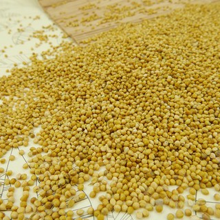 [1kg] Hạt kê nếp vàng đã tách vỏ, hạt to - FG117