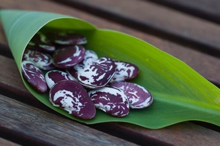 Đậu ngự PMT 250g