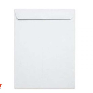 Bao thư trắng a5 nắp đứng xấp 100 cái / 80gsm