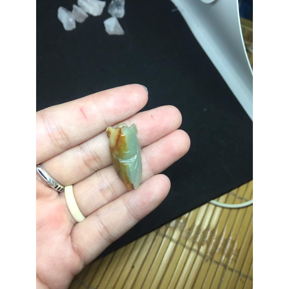 MẶT DÂY VE SẦU - CHO CÁC SĨ TỬ MÙA THI