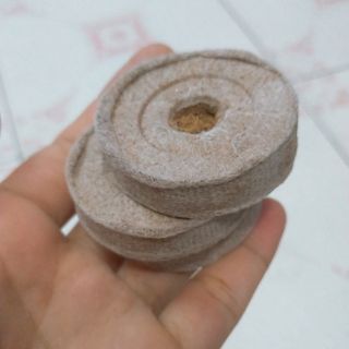 Combo 10 viên nén nảy mầm/ viên nén xơ dừa