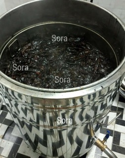 NƯỚC GỘI BỒ KẾT CÔ ĐẶC SORANA