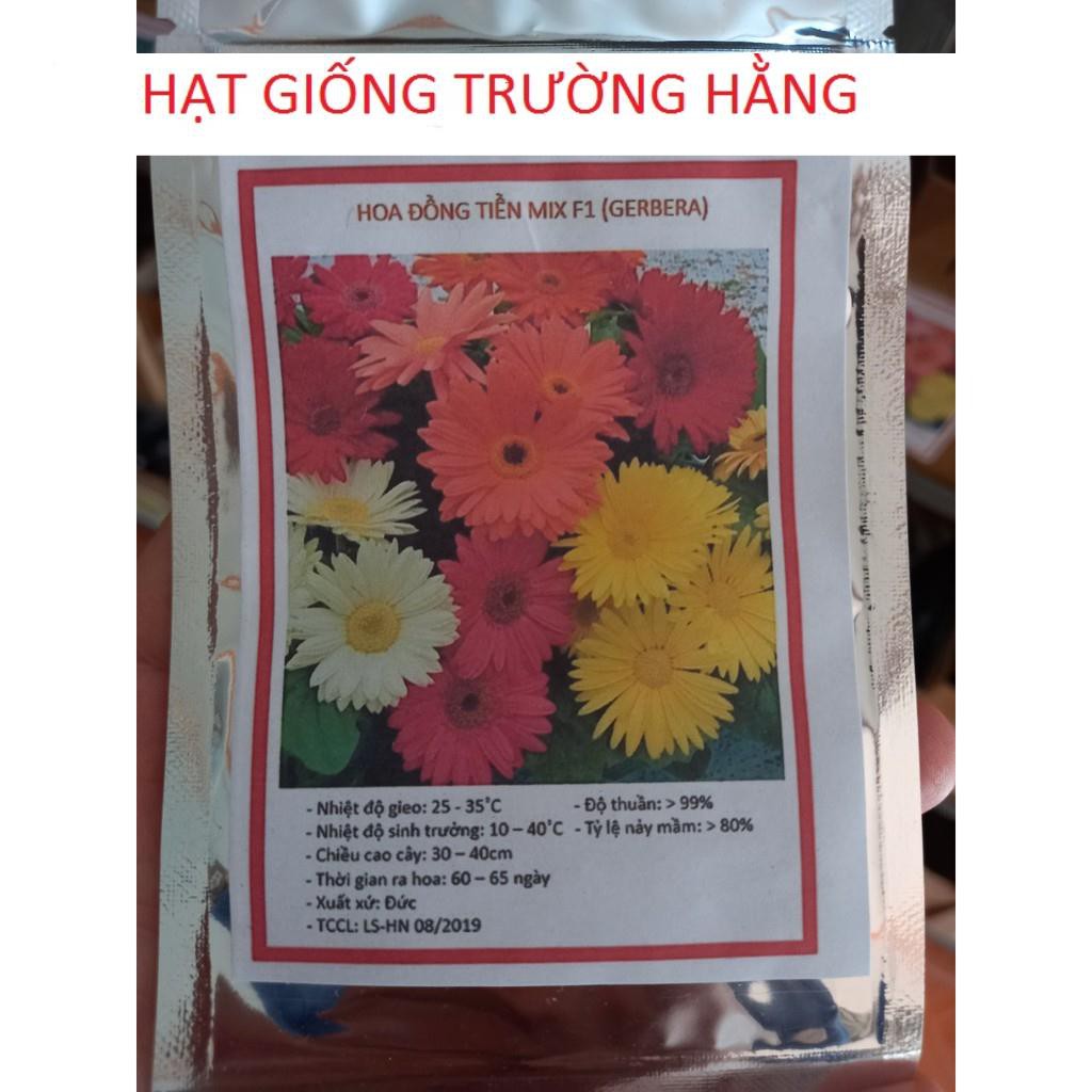 Gói 30 HẠT GIỐNG HOA ĐỒNG TIỀN CAO MIX MÀU