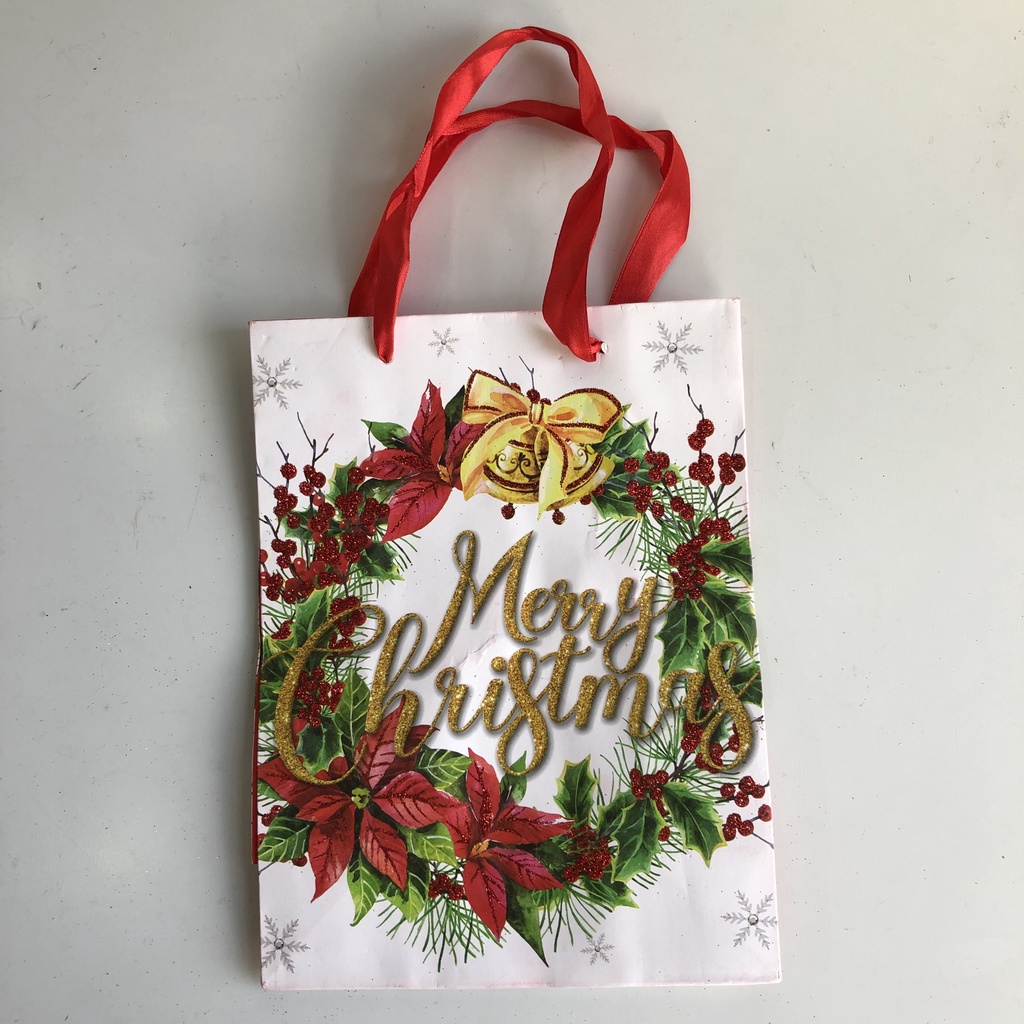 Túi giấy cao cấp đựng quà Noel phủ nhũ lấp lánh 24cm x 18cm trang trí Giáng sinh và làm quà tặng M3