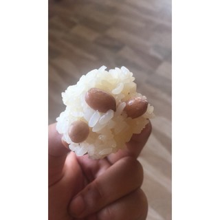 🥜🥜🥜 LẠC BÓC TAY CAO NGUYÊN ĐÁ🥜🥜