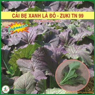 Hạt giống Cải bẹ xanh lá đỏ ZUKI TN 99 - 10g