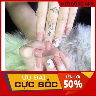 hoa cúc tròn- hoa bột nail