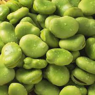 Đậu tằm chiên [Vicia faba ]
