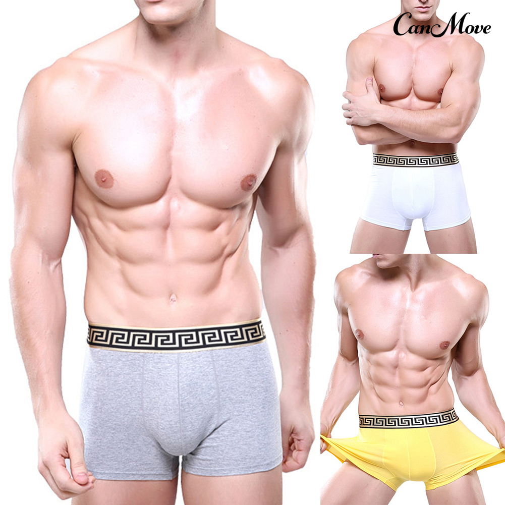 Yoshio Quần Lót Boxer Vải Cotton Thời Trang Công Sở Cao Cấp Cho Nam